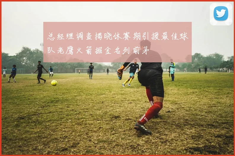 总经理调查揭晓休赛期引援最佳球队老鹰火箭掘金名列前茅