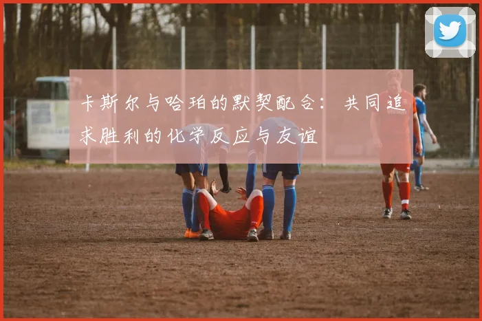 卡斯尔与哈珀的默契配合：共同追求胜利的化学反应与友谊
